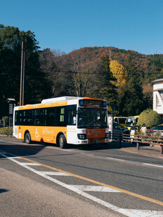 公路边停靠的橙白公交车
