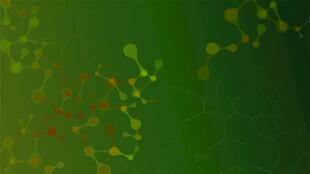 分子世界
