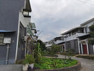 宁静乡村民居与绿植景致