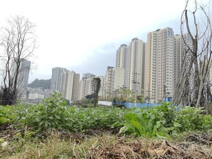 城市荒地与高楼景观