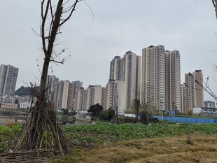 城郊高楼与荒野景象