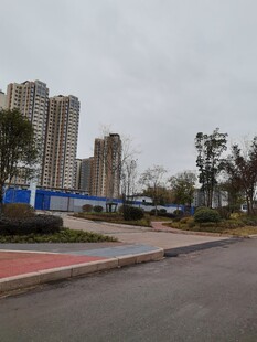 城市道路旁的高楼与设施