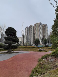 城市中的休闲步道与高楼