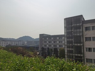 楼前绿植与远山景致