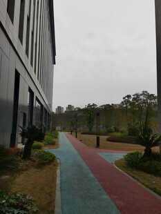 园区彩色步道与建筑景观