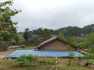 乡村小屋旁的蓝色棚顶