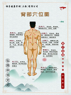 背部穴位图示