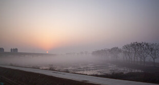日出薄雾中的静谧河岸