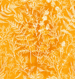 橙底白色植物纹理图案