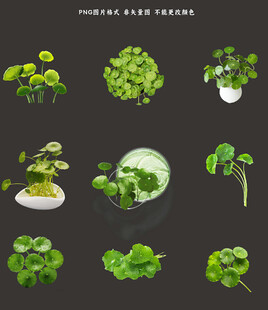 四叶草素材