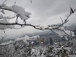 2021年的第一场雪