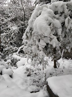 2021年的第一场雪