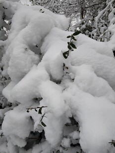 2021年的第一场雪