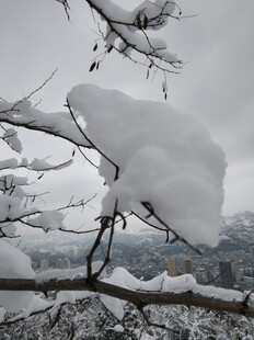 2021年的第一场雪