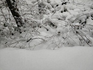 2021年的第一场雪