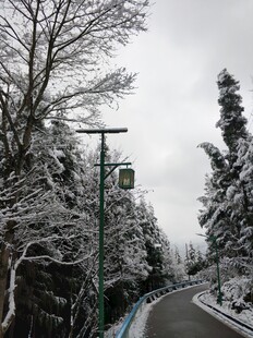 2021年的第一场雪