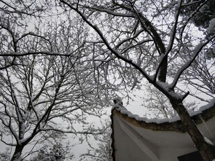 2021年的第一场雪 