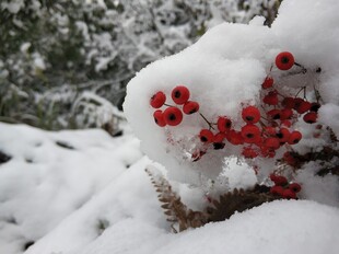 2021年的第一场雪