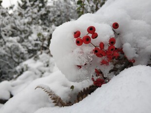 2021年的第一场雪