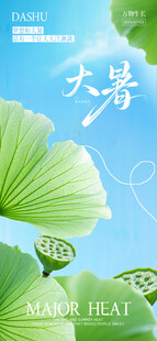 清新大暑节气绿叶背景图