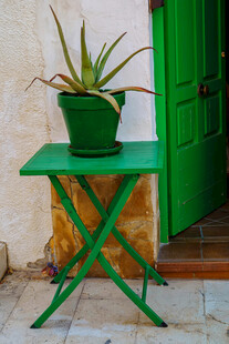 绿色小桌配绿植于门前