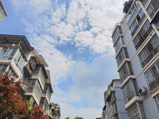 城市楼宇间的晴朗天空