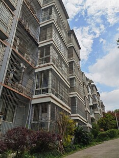 多层居民楼外观景致