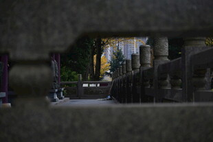 透过孔洞看街道景象