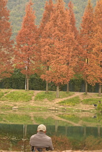 湖畔独坐赏秋色的人