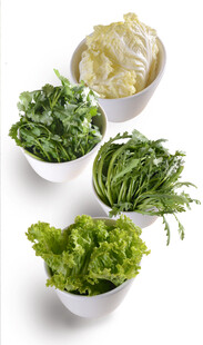 新鲜多样蔬菜组合