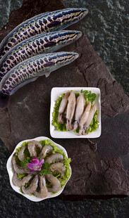 多样美味海鱼拼盘