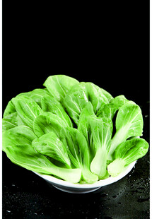 新鲜小白菜摆放在盘中
