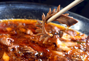 麻辣鲜香的美味火锅食材