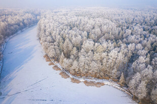 冬日雪覆森林河流美景