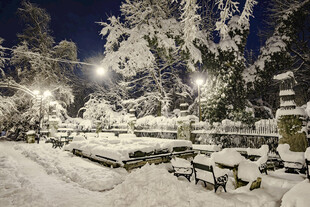 雪夜中的静谧户外休闲场景