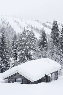 雪覆木屋与松林美景