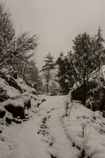 雪覆山林间的蜿蜒小道
