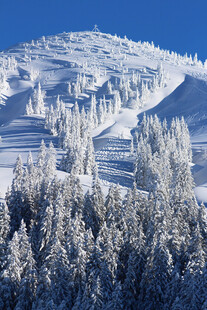 雪覆山林