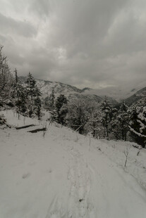 冬日雪景中的山林风光
