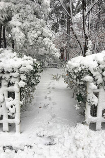 雪后园林小径美景