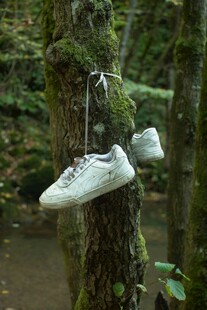 树上悬挂的旧运动鞋画面