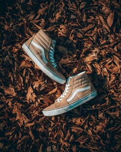 落叶上的复古运动鞋