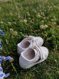 草地上的小童鞋