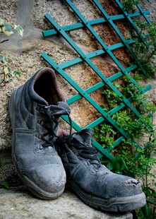 旧皮鞋置于绿植旁的场景