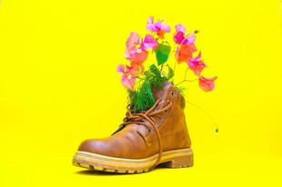 靴中绽花的独特创意景象