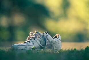 草地上的复古运动鞋