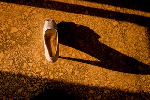 阳光下的单只高跟鞋