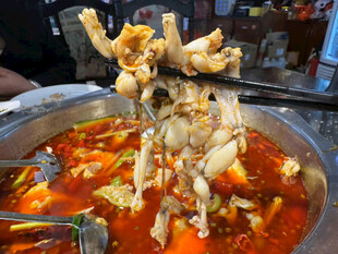 正宗麻辣锅底