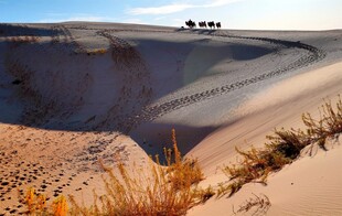 沙漠公路上的车辆行驶景象