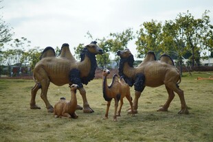 草原上的骆驼与骑手